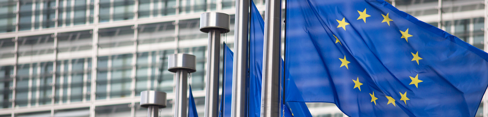 EU flag